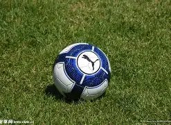 访谈透露,深切怀念,岁月,ebpay官网下载app,ebpay下载,ebpay官网