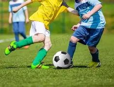 日重金属捕,集剂市场报,价更新,ebpay官网下载app,ebpay下载,ebpay官网