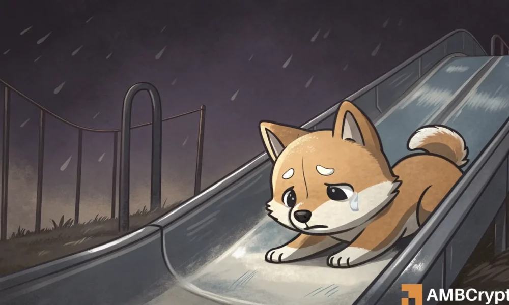 甜蜜瞬间,张若昀坦白,求婚宣言,ebpay官网下载app,ebpay下载,ebpay官网