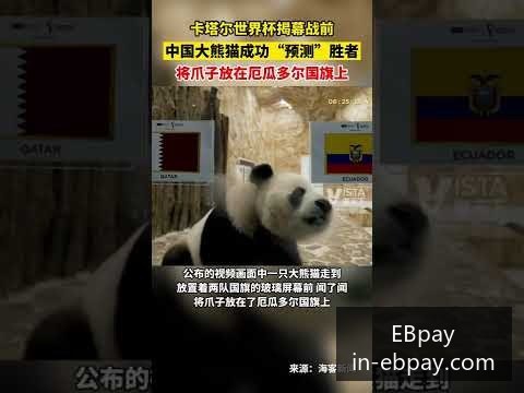 巴西队与阿,根廷队对决,预计将产生,EBpay官网,EBpay支付方式,EBpay选购指南,EBpay服务,快速支付