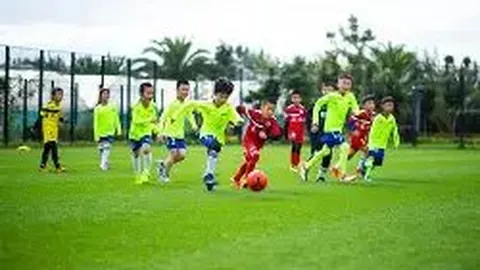 同学羽毛球击伤眼球事件，浦东法院责任判定出炉