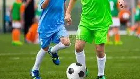 11.25市场动态：波动中寻机遇