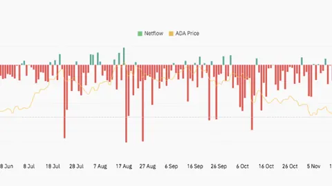 刘国梁谈与叶诗文相识：张继科催促看视频，她泳速惊人