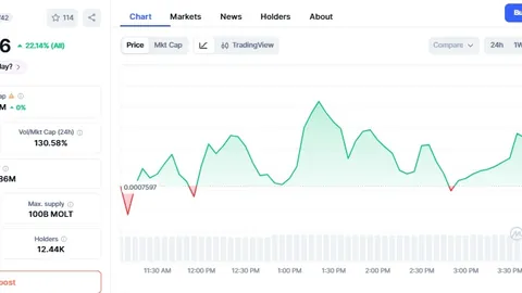 币安独家揭晓FOGO钱包预TGE抢购攻略，6 BNB限额疯抢，抢购热潮即将引爆币圈！