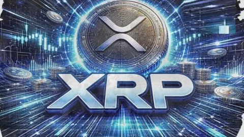 向佐香港热心公益，街头分发防疫物资与生活用品